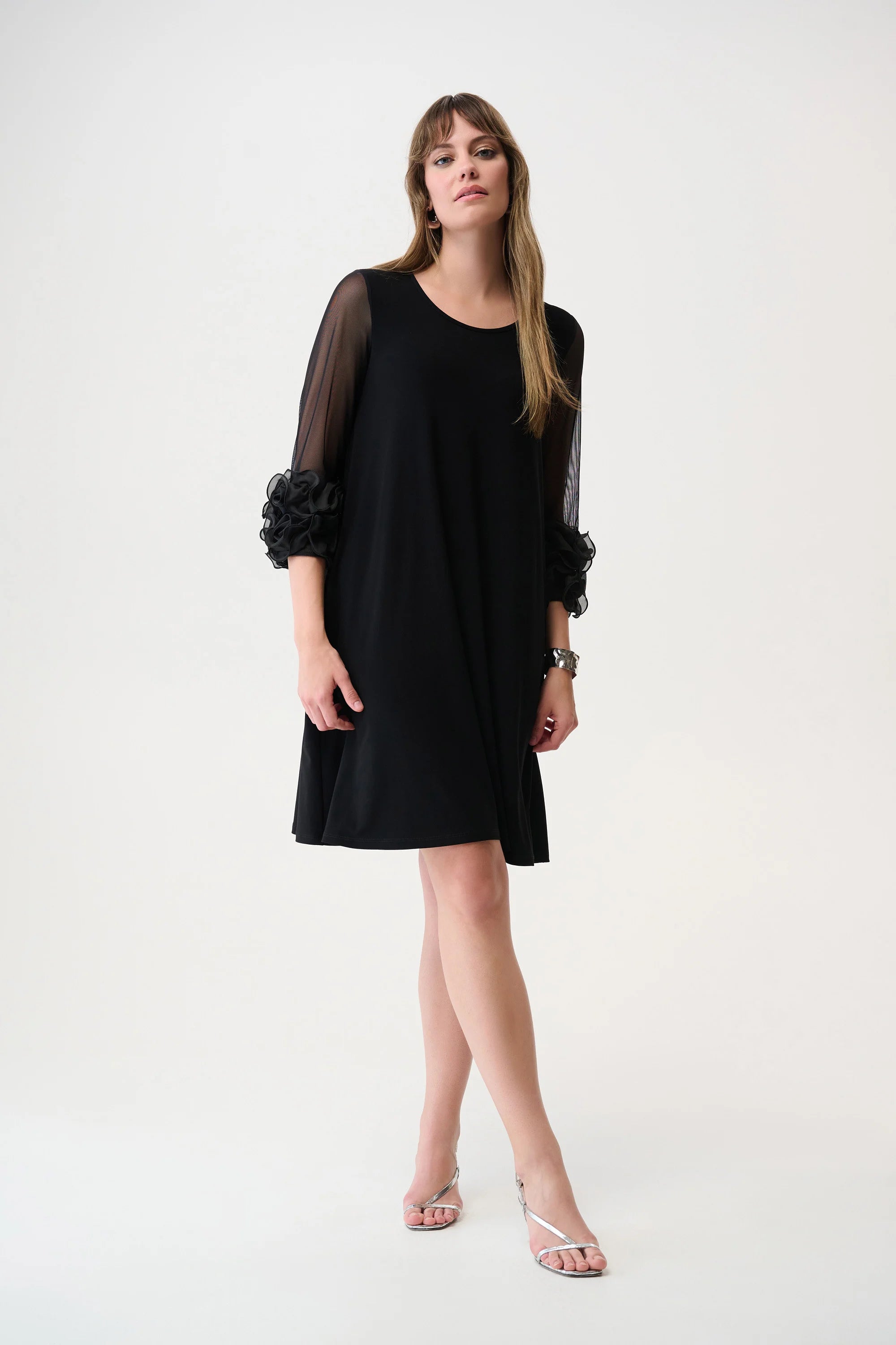Ruffled Trim A-Line Dress