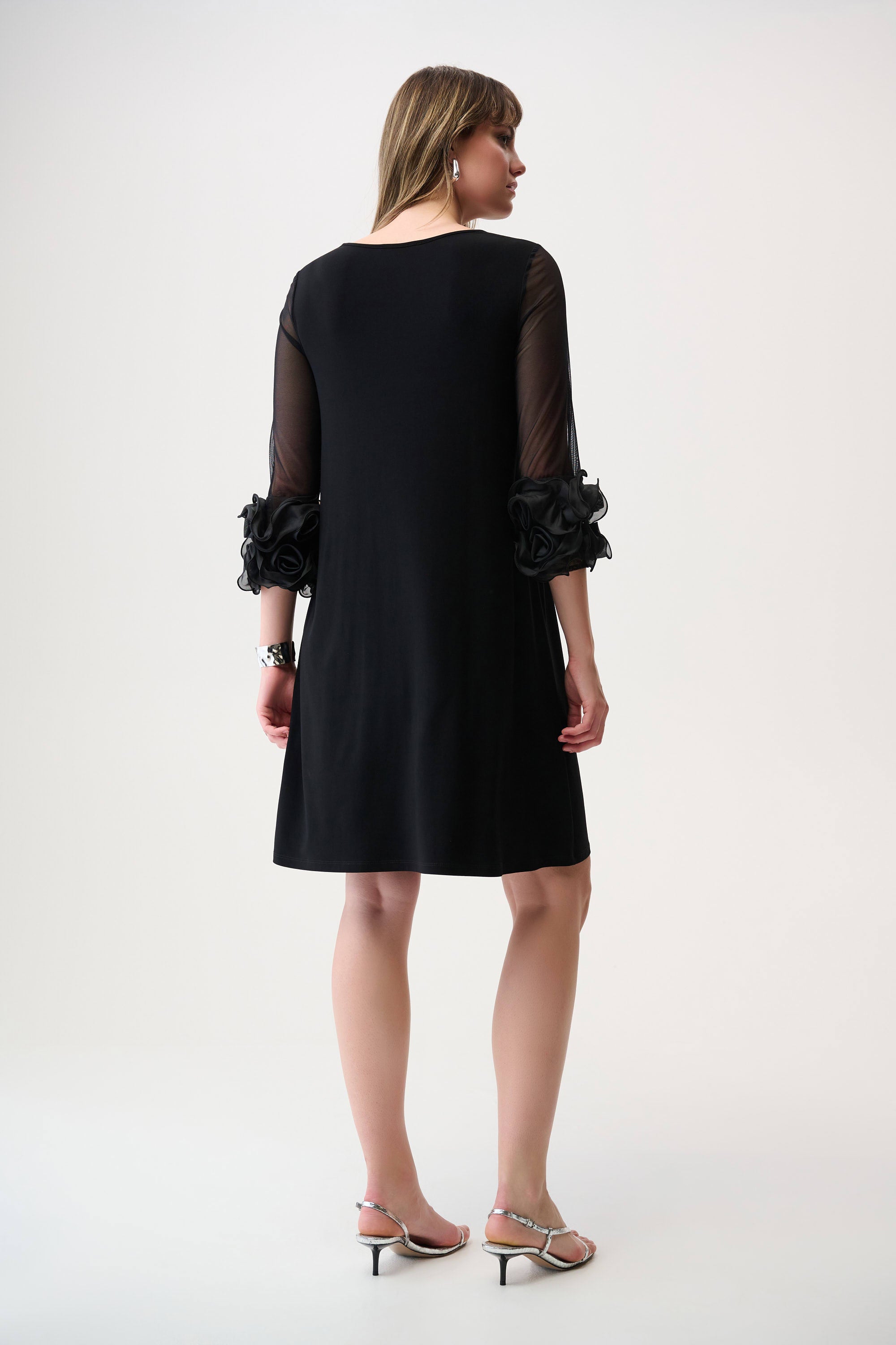 Ruffled Trim A-Line Dress