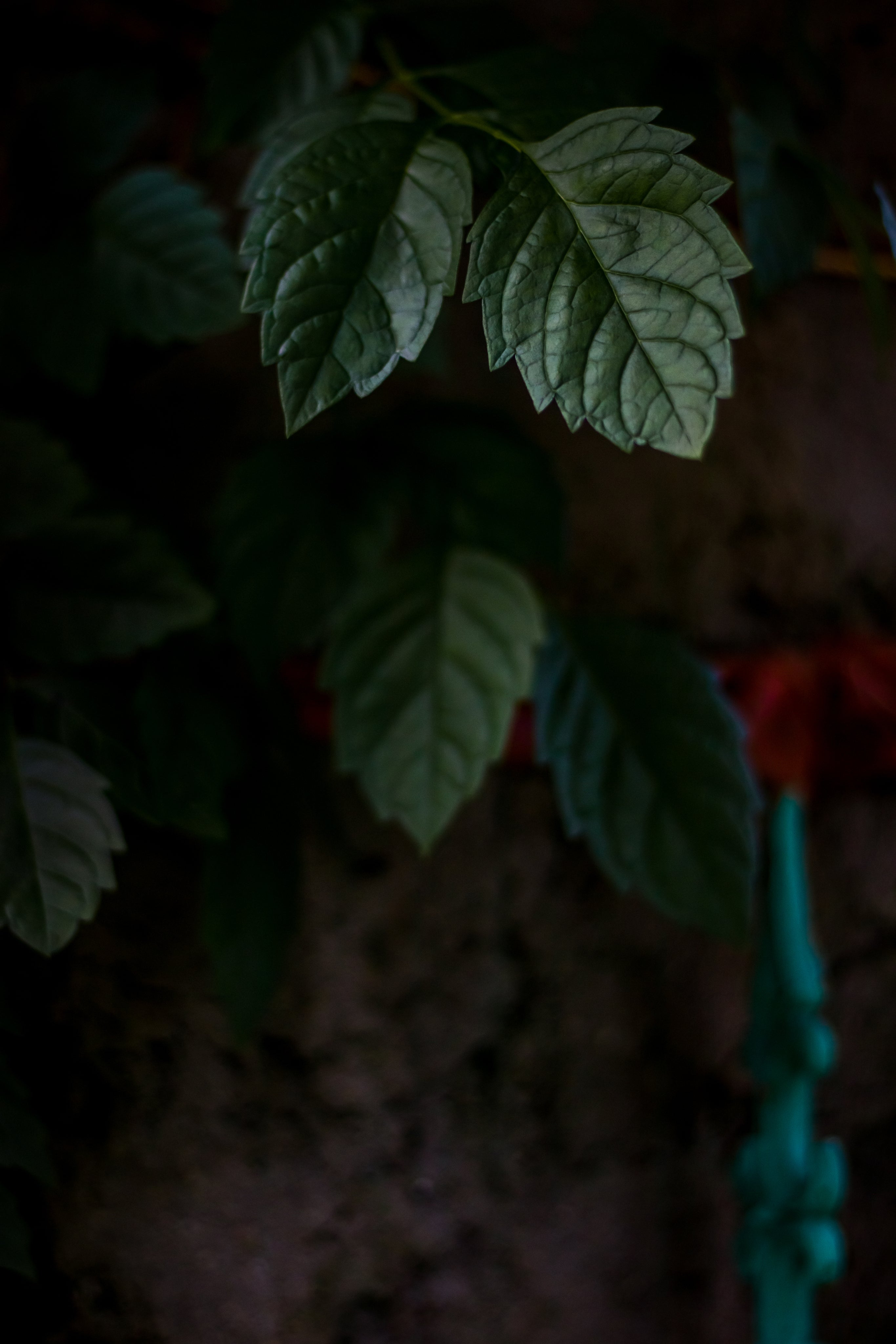 Promotion banner